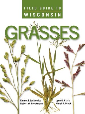 cover image of Field Guide to Wisconsin Grasses